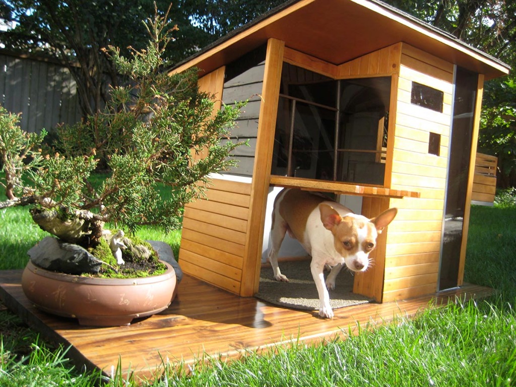 mid century modern dog house