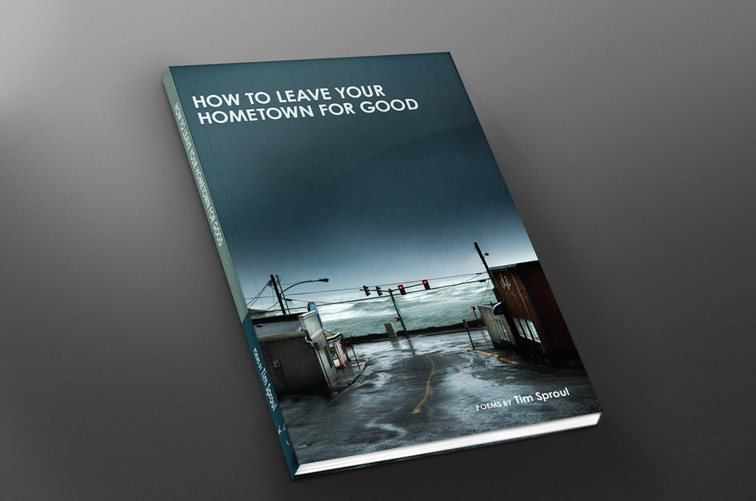 HowToLeave_Book_more_face.jpg