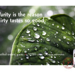 New_Deal_Vodka-Dirty