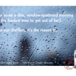 New_Deal_Vodka-Window